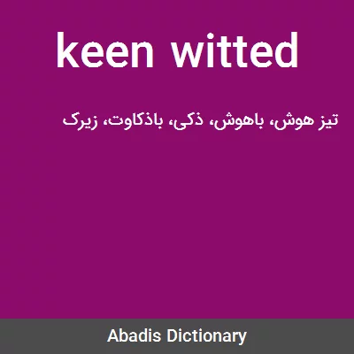 معنی keen witted